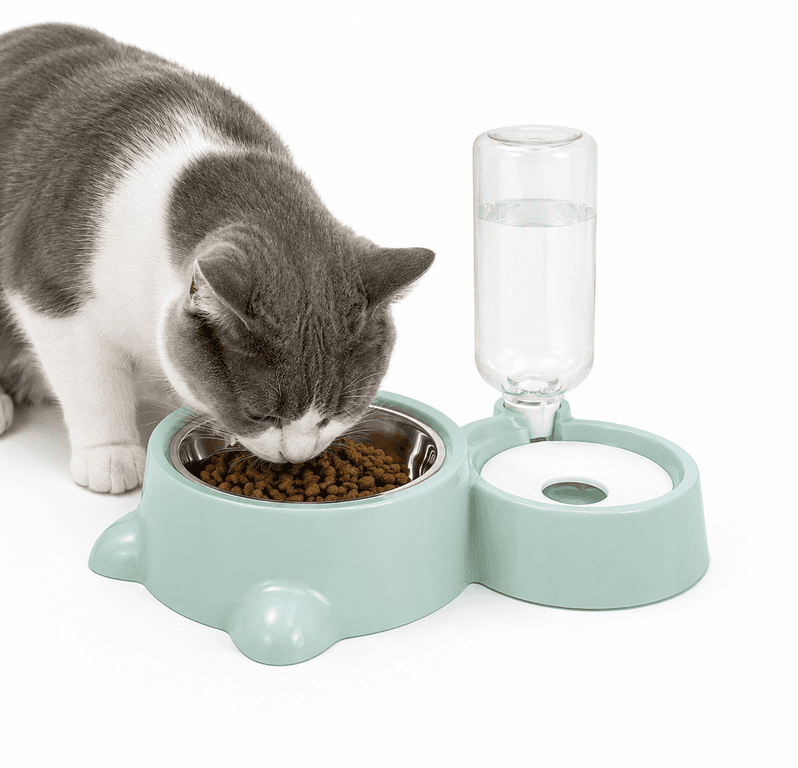 Auto Feeder Bowl With Stainless