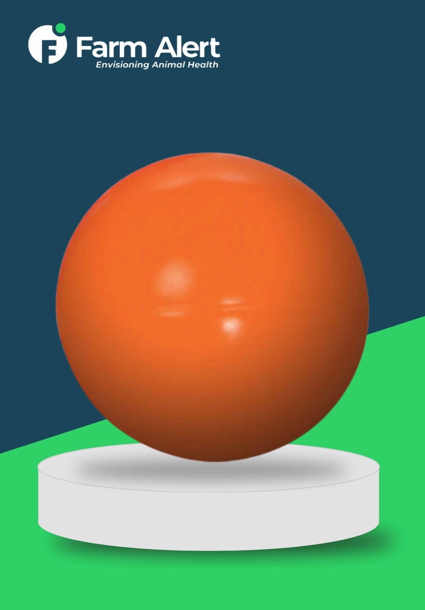 SOLID BALL TOY: ORANGE