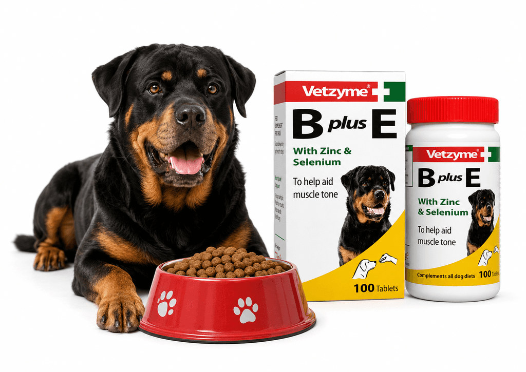 Vetzyme B+E