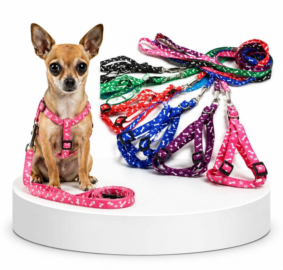 Cat Adjustable Harness & Leash (1.5)