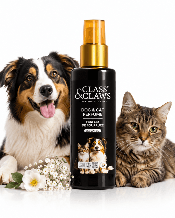 CLASS & CLAWS FURRY FRAGRANCE (ELEVATED) 200ML