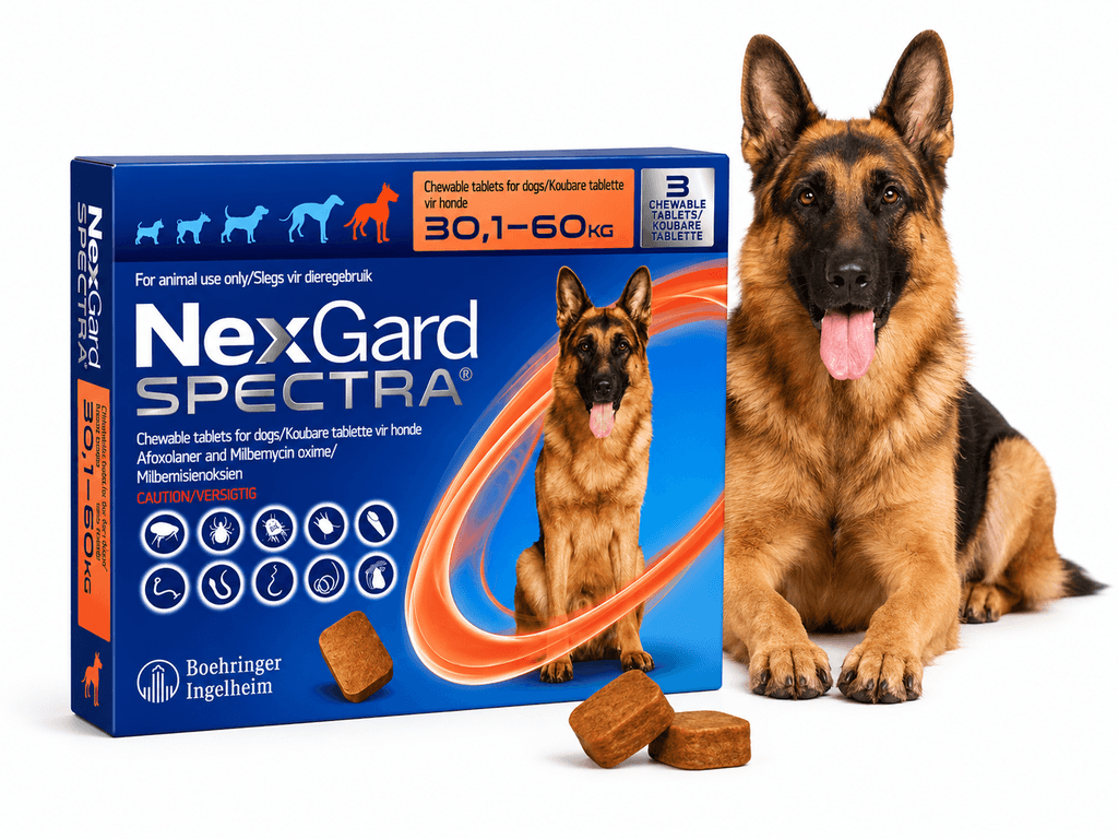 Nexgard Spec (30-60KG)