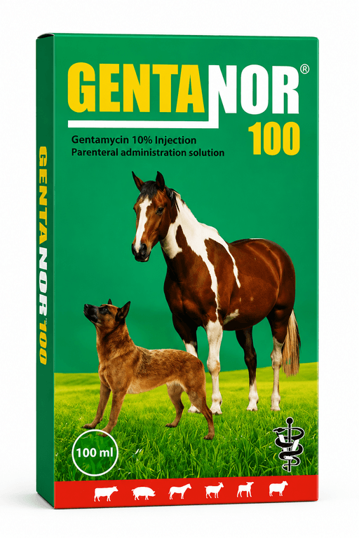 GENTANOR 100ML