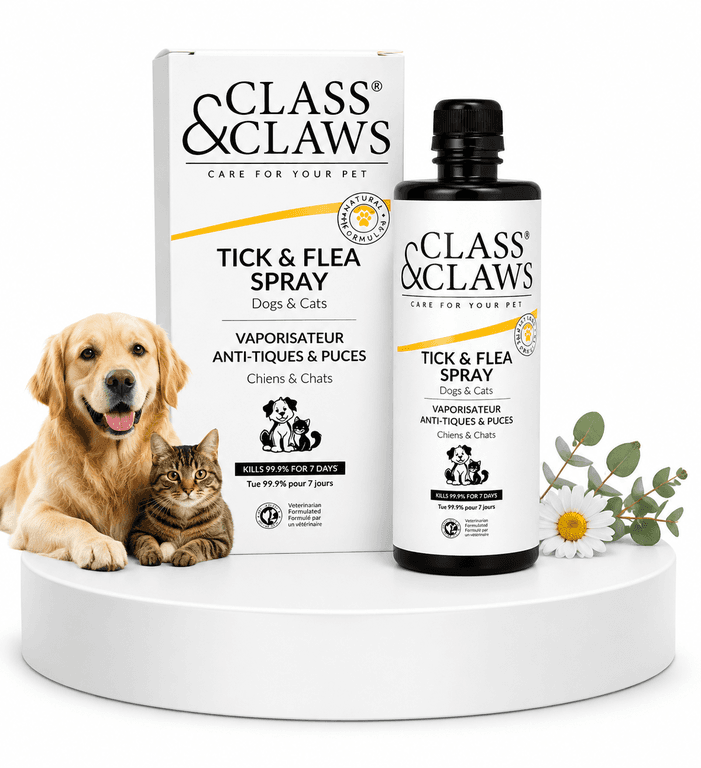Class & Claws