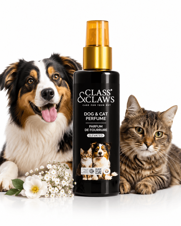 Class & Claws Furry Fragrance (Elevated) 200ML