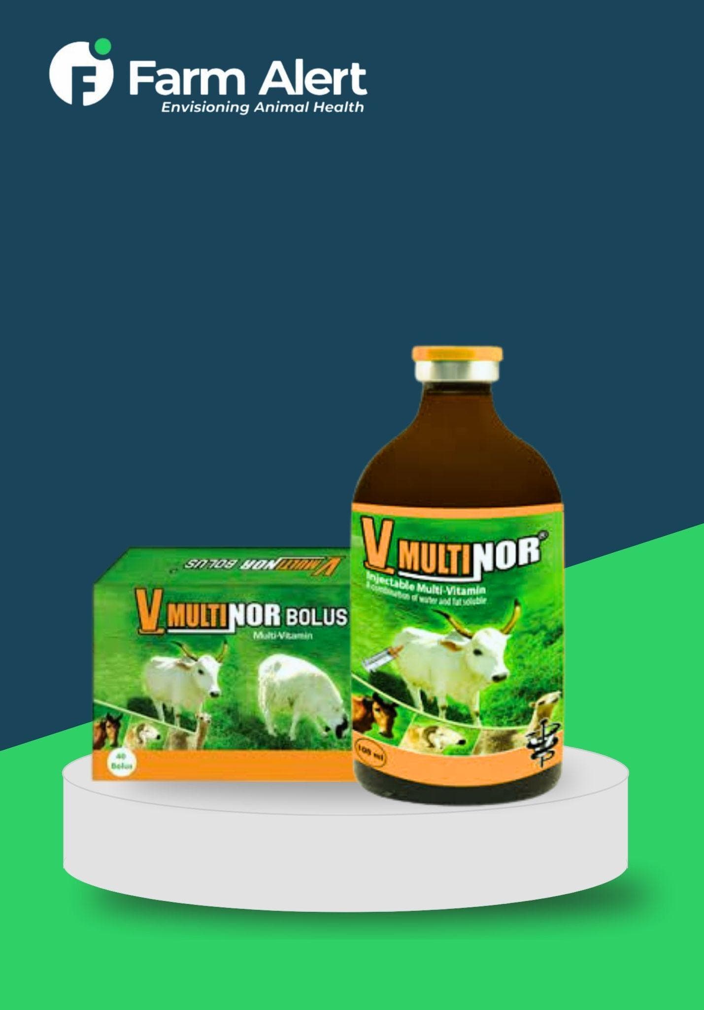 V-MULTINOR 250ML