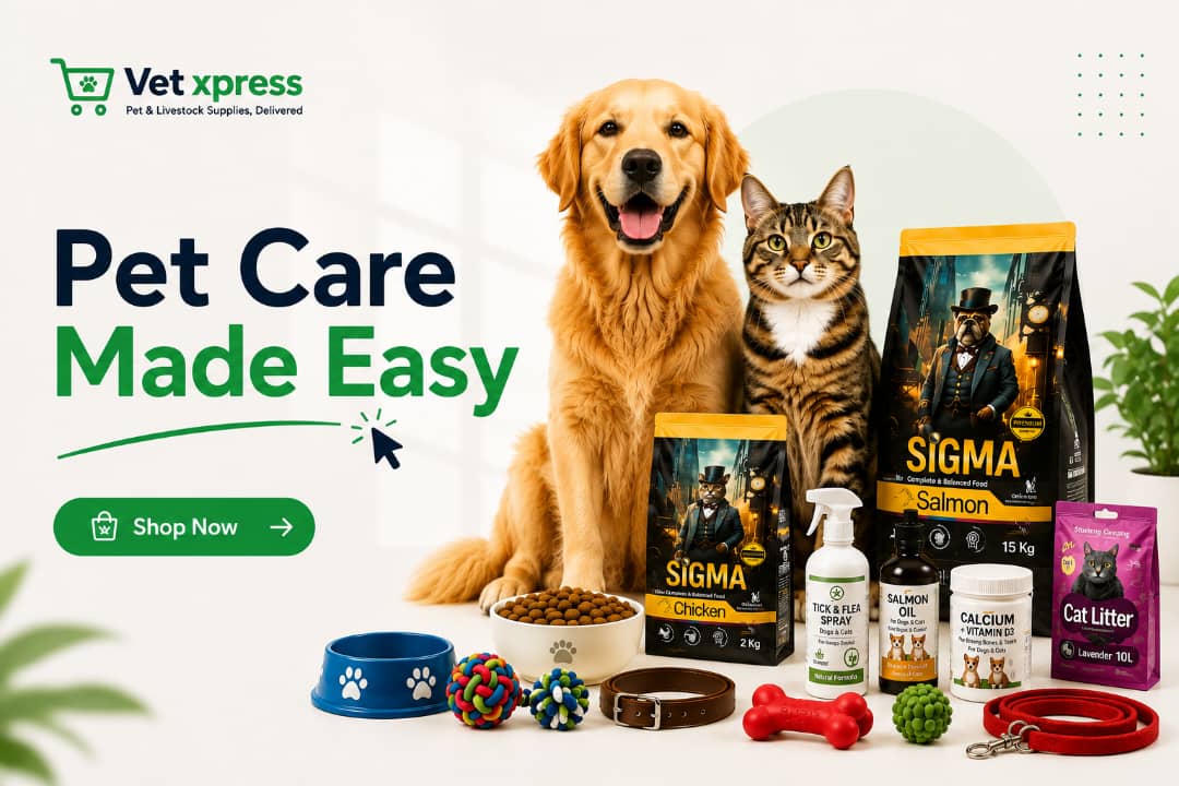 VetXpress — Pet Care Made Easy