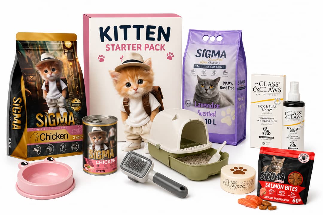 New Cat Essentials