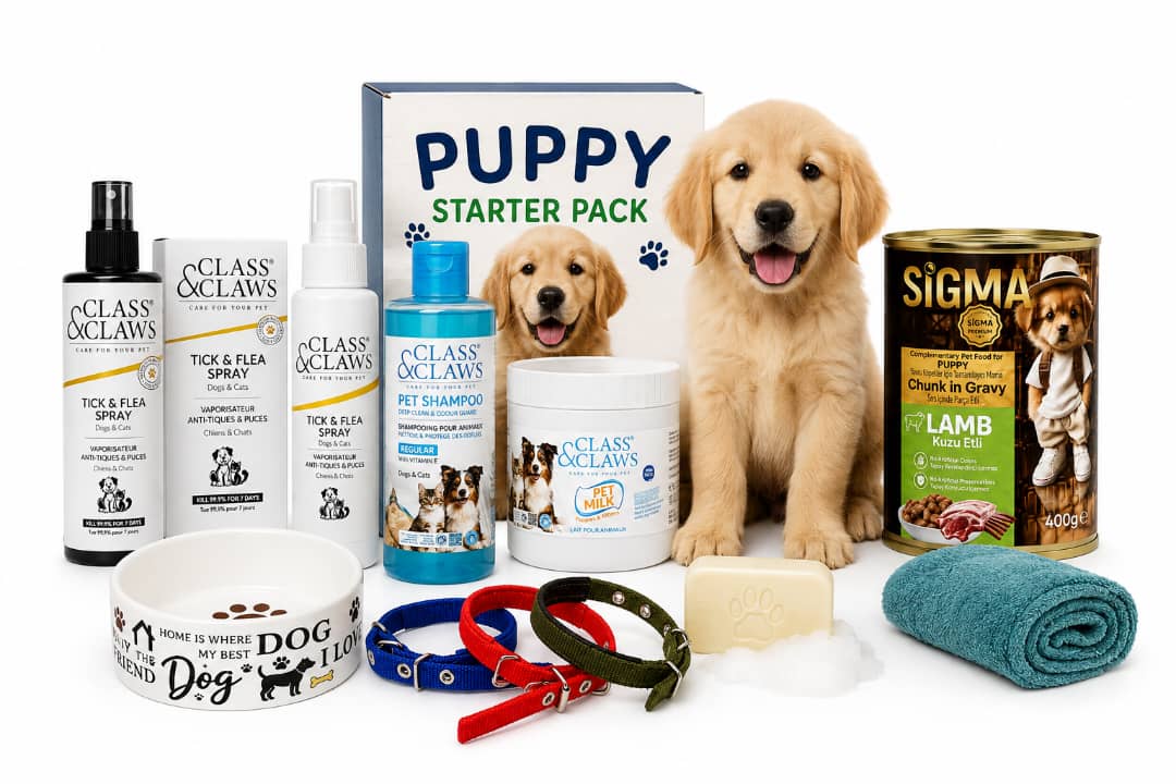 New Puppy Essentials