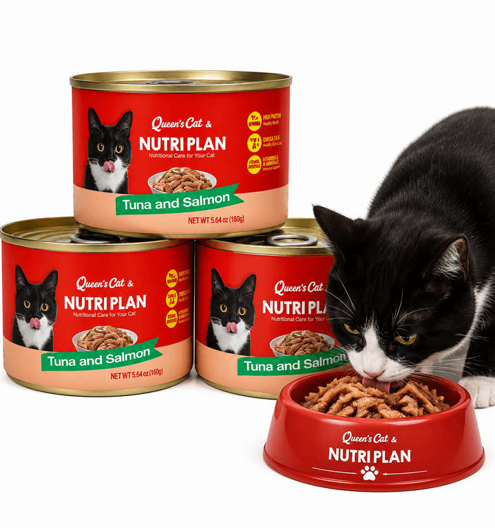 QUEEN'S CAT NUTRIPLAN (SALMON) 160G
