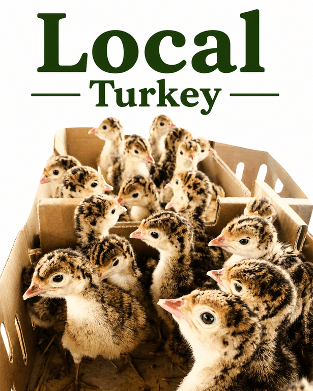 DOC-LOCAL TURKEY
