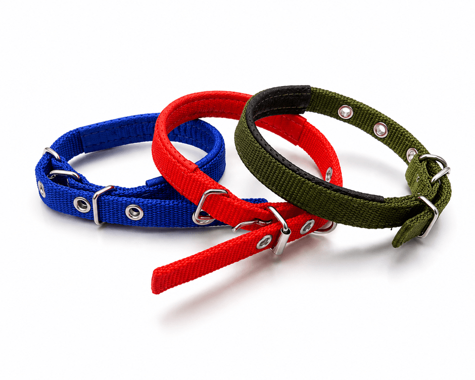 Padded Collar (S)