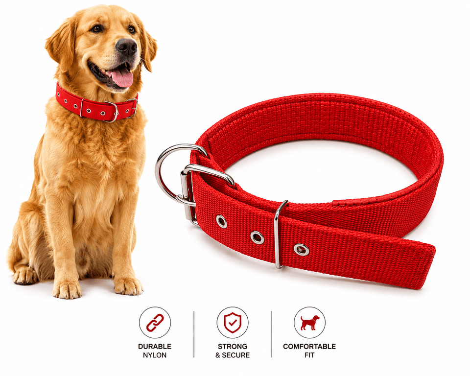 PADDED COLLAR (M)