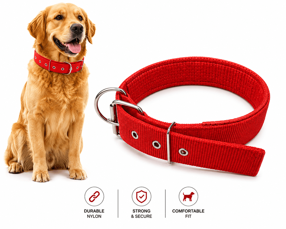 PADDED COLLAR (M)
