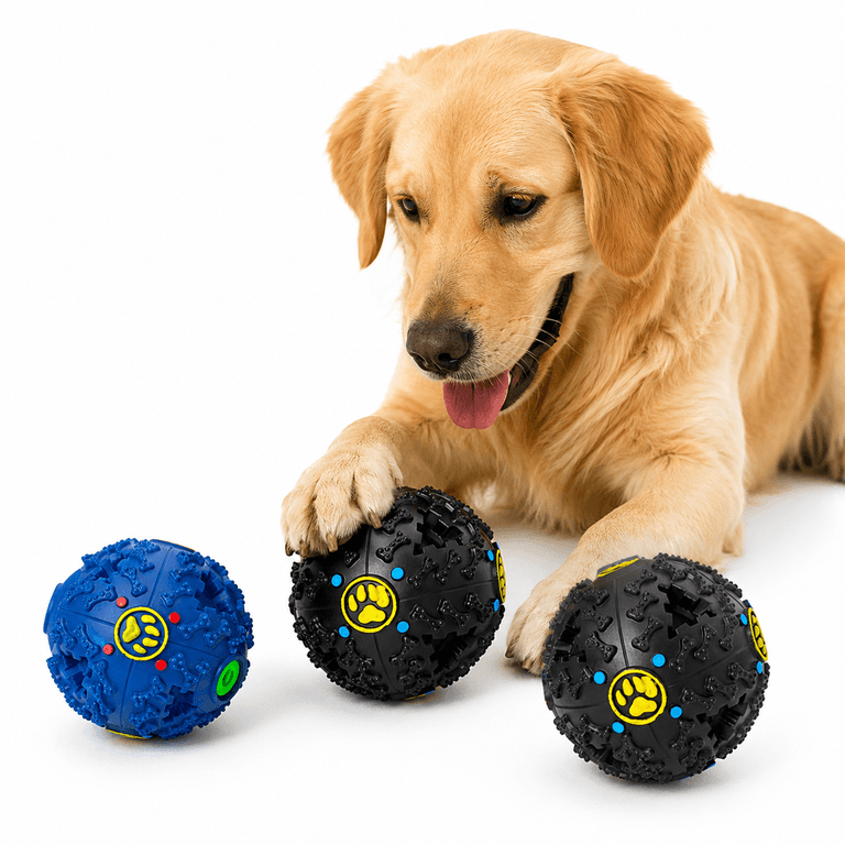 IQ BALL TOY (B)