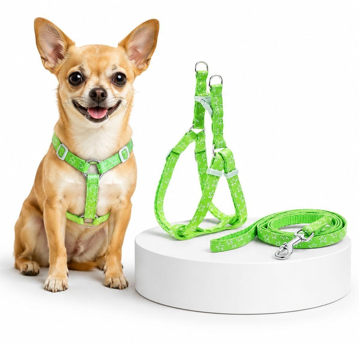 CAT ADJUSTABLE HARNESS & LEASH(1.0)