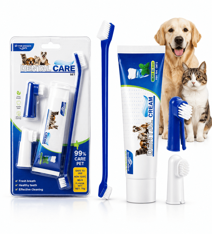 GREEN MEADOW DENTAL KIT
