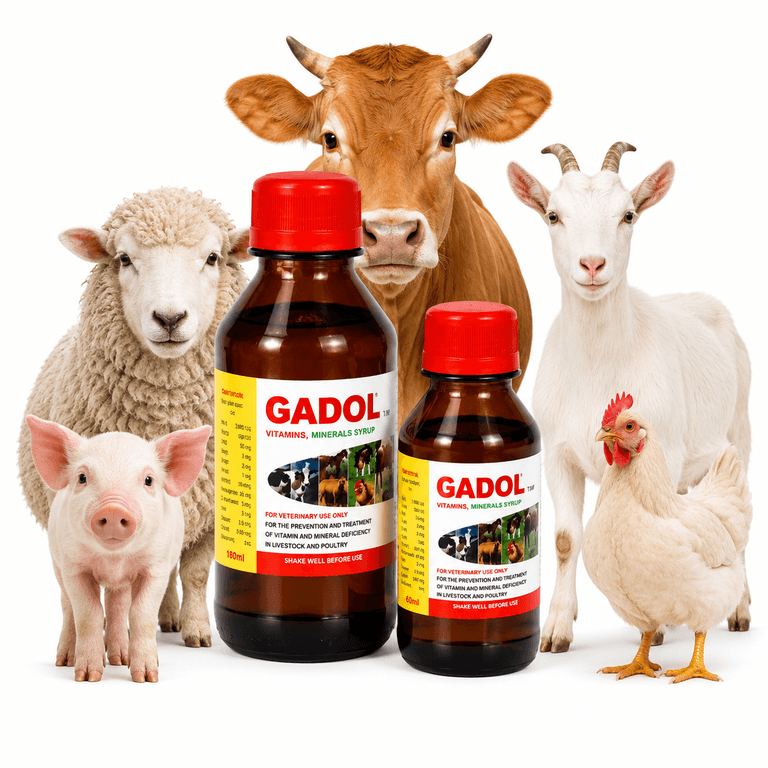 GADOL