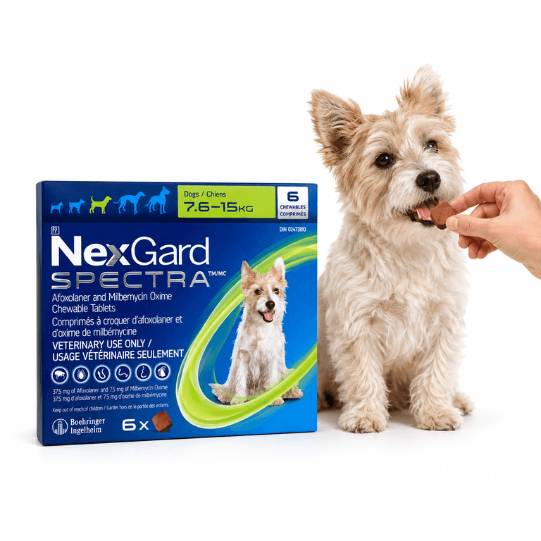 NEXGARD SPEC (7.6-15kg)