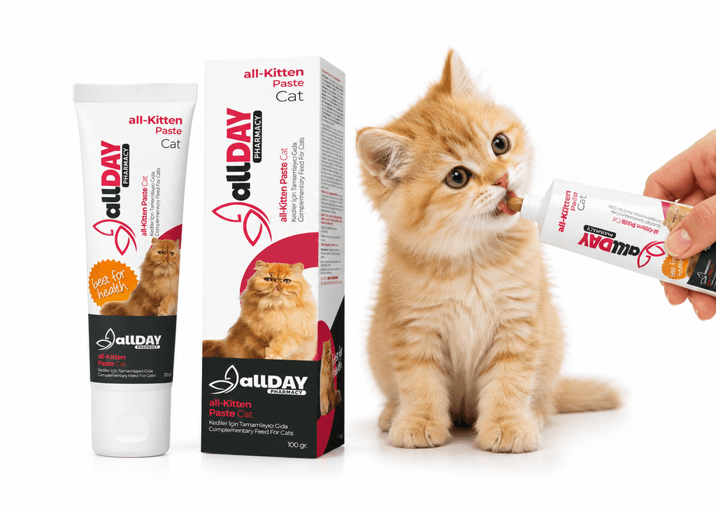 ALLDAY KITTEN PASTE