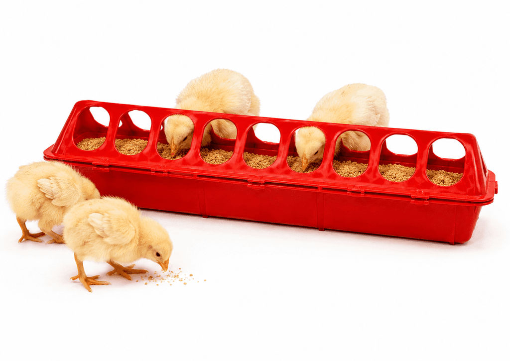 FLIP TOP CHICKEN FEEDER